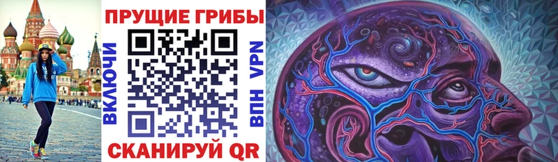 Купить закладки  Называевск  Галлюциногенные грибы прущие грибы 